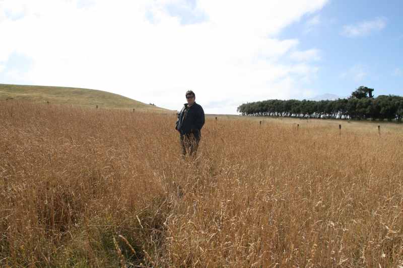 Nieuw-Zeeland 2011 - 1150
